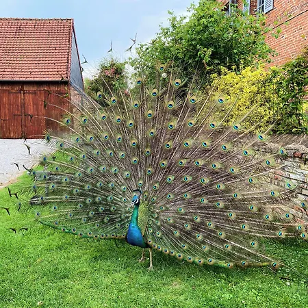 Bed & Breakfast Chateau D'aigneville 3*